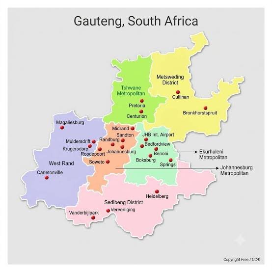 IMPACT OF DIGITAL LICENCING FOR TRANSPORT OPERATIONS IN THE GAUTENG REGION OF SOUTH AFRICA