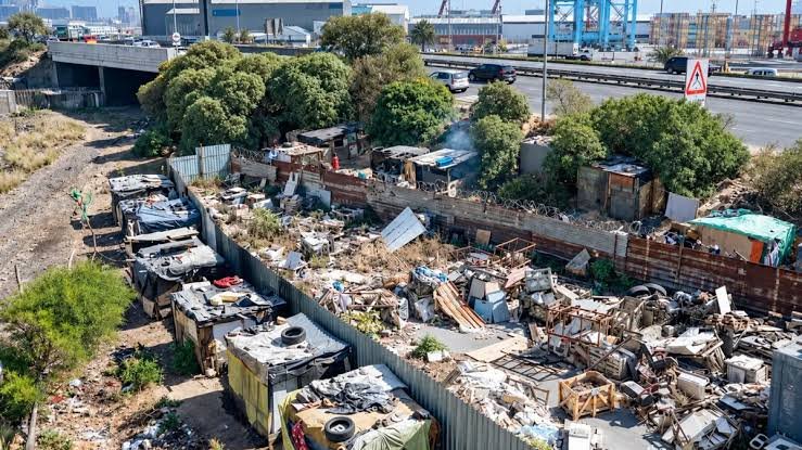 Judge Wille: Denies Woodstock Transnet Eviction Appeal, No Alternative Accommodation Evidence