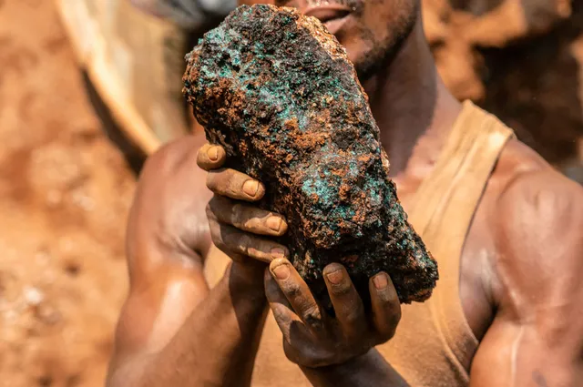 Cobalt's 30% Slide Puts D.R. Congo's Quota Gamble to the Test