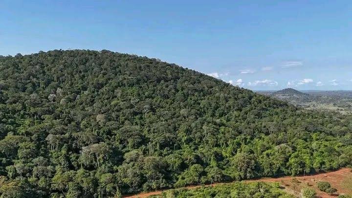 Mrima Hill: Kenya’s Critical Minerals Ambition Meets the Test of Local Processing and Community Consent